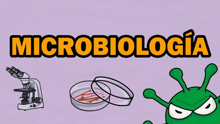 Descobreix la fascinant món de la microbiologia: Tot el que has de saber!