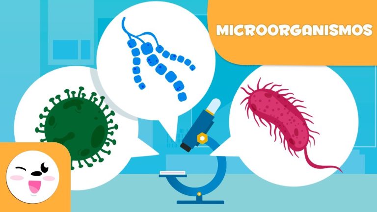 Descobreix el fascinant món dels microorganismes: la clau per a la comprensió de la vida