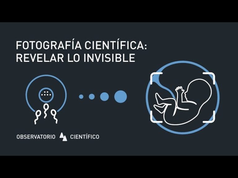 Fotografia Científica: Capturant l’Invisible de Forma Excepcional